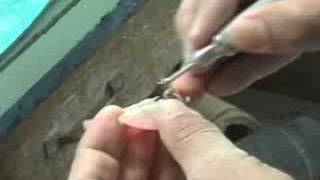 リニューアルしました。